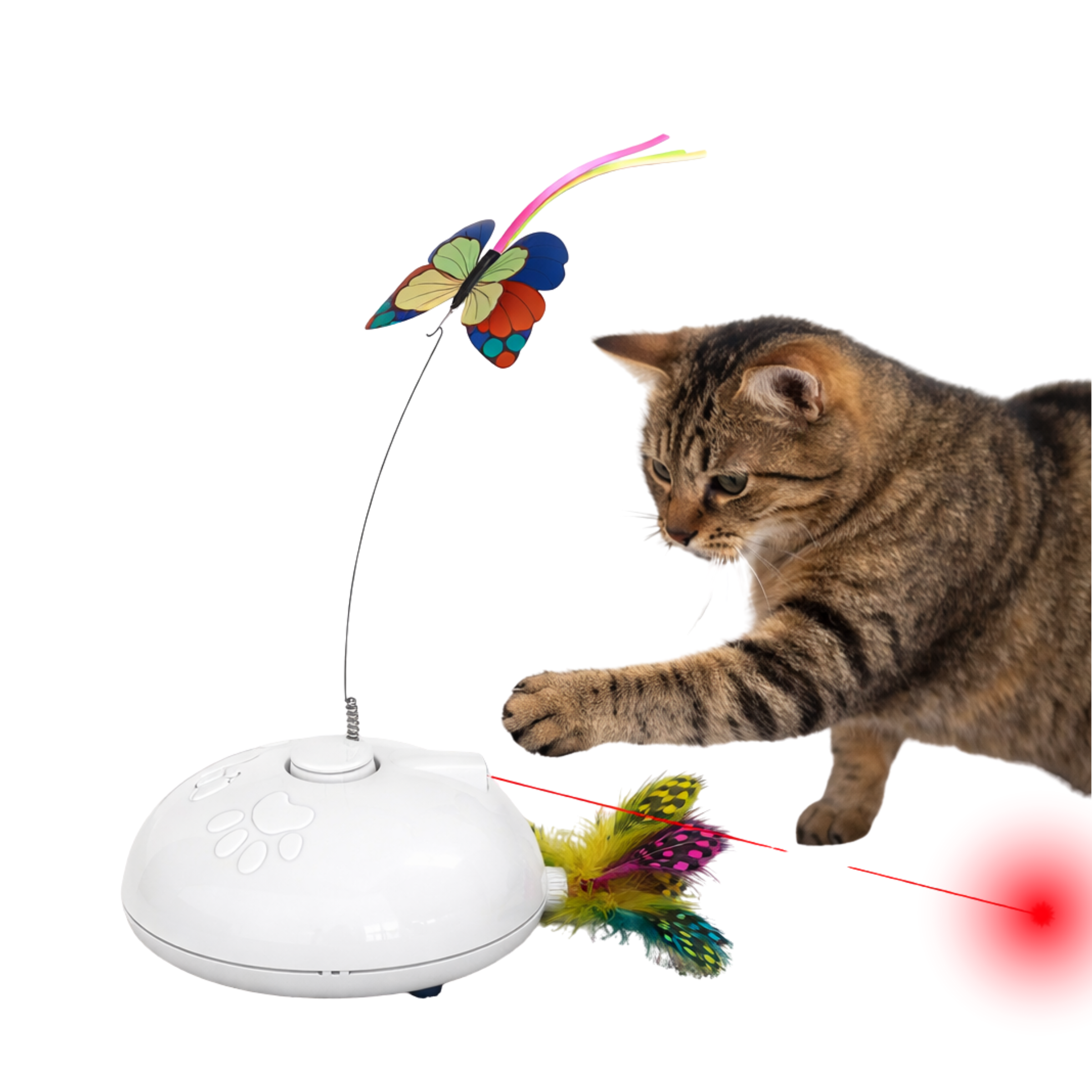 Interaktywna zabawka dla kota z motylkiem – automatyczna, 3 w 1