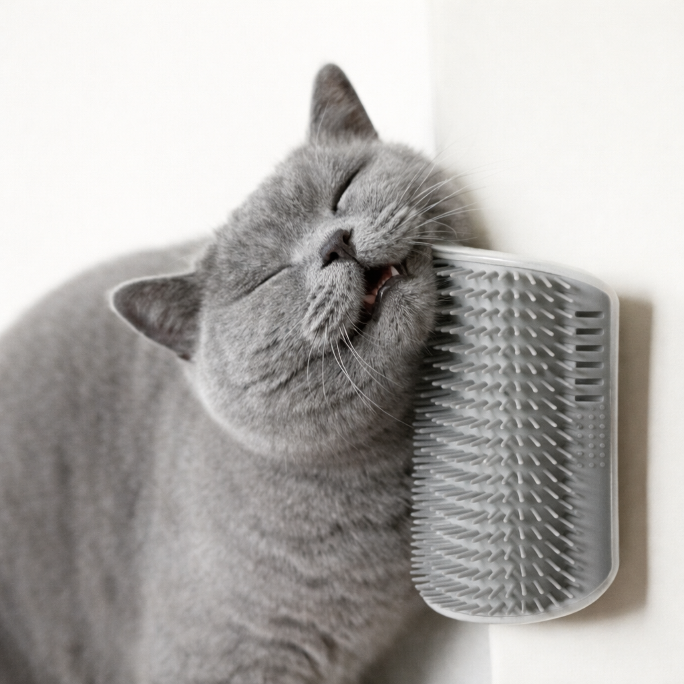 Szczotka Narożna dla kota z wkładem z kocimiętką do ocierania się