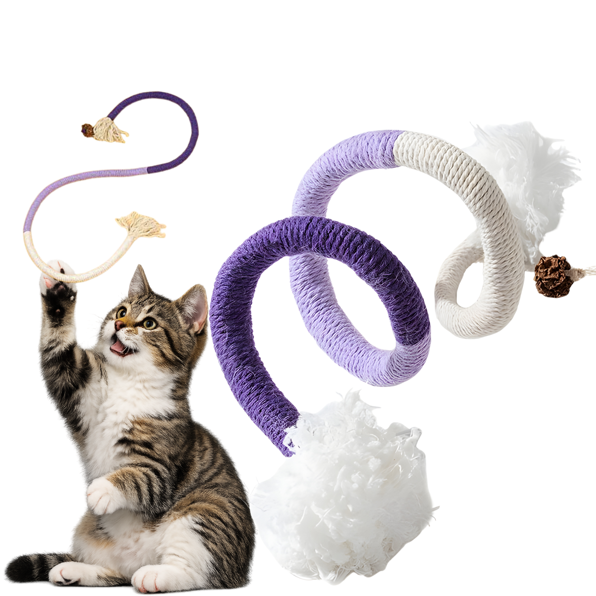 Zabawka dla Kota Sznurek z owocem Actinidii - naturalna, ręcznie wykonana - różne kolory