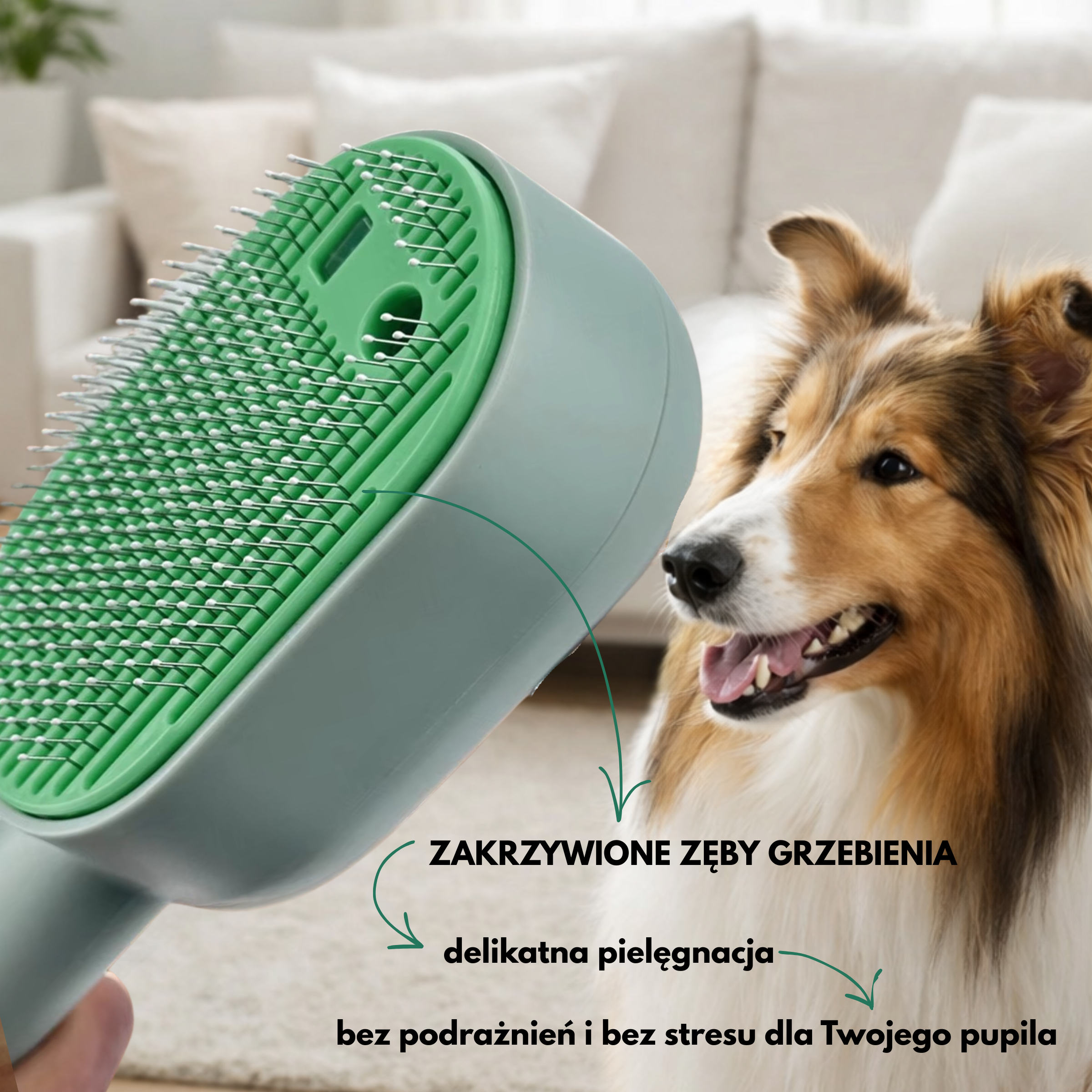 Szczotka Parowa dla psa lub kota do pielęgnacji sierści z ultrafioletem