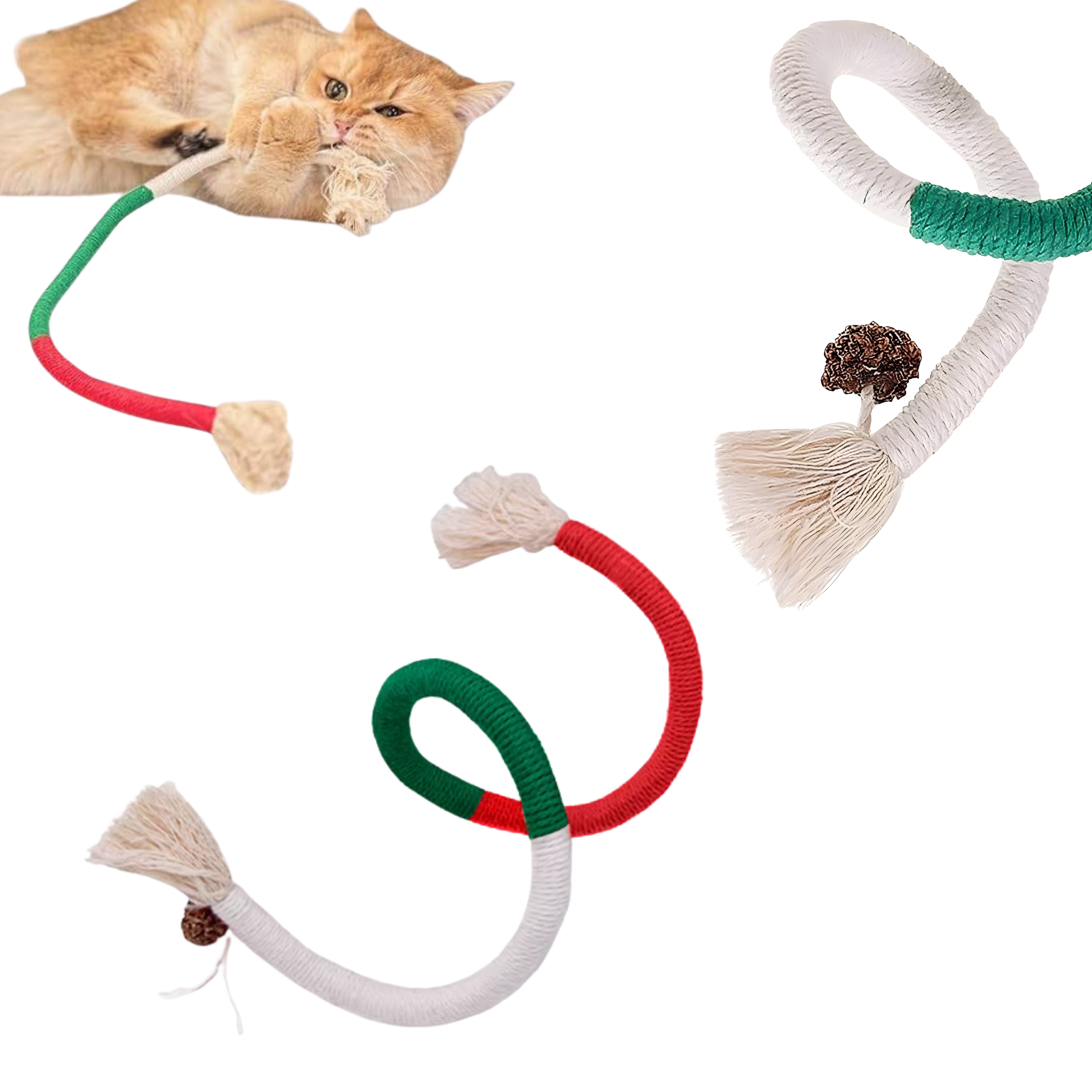 Zabawka dla Kota Sznurek z owocem Actinidii - naturalna, ręcznie wykonana - różne kolory