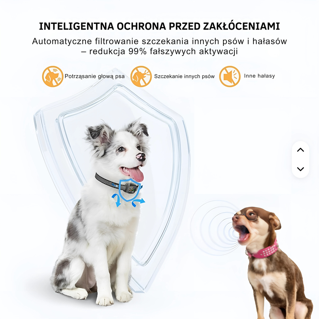 Obroża antyszczekowa - treningowa, humanitarna, bez prądu