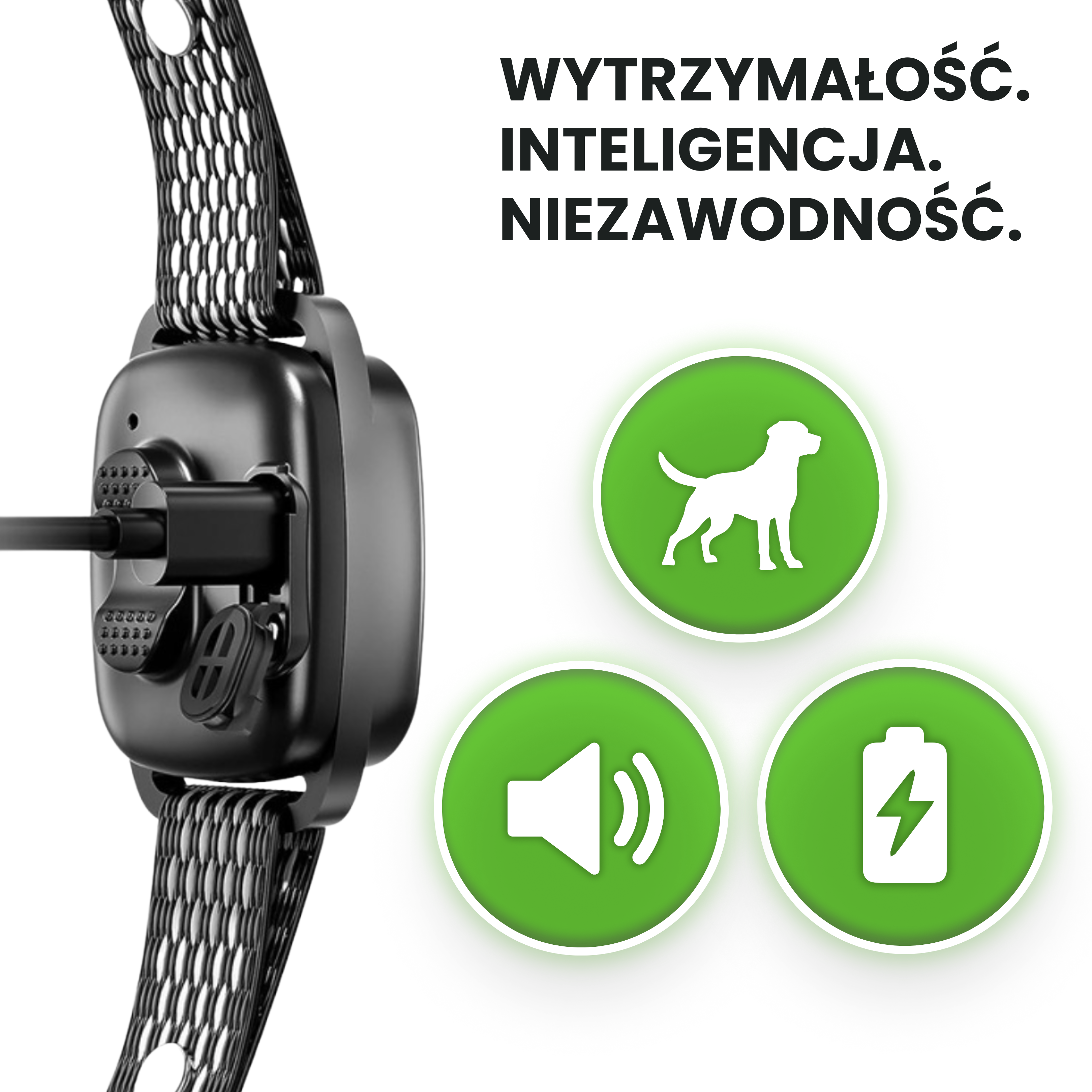 Obroża antyszczekowa - treningowa, humanitarna, bez prądu